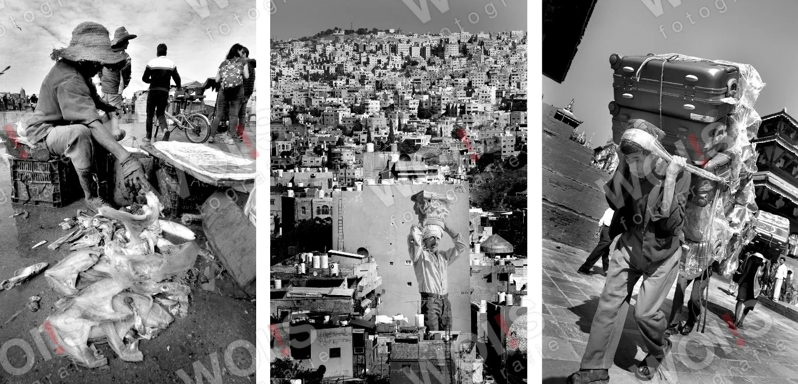 Drei Fotografien nebeneinander: Marokko, Jordanien, Nepal