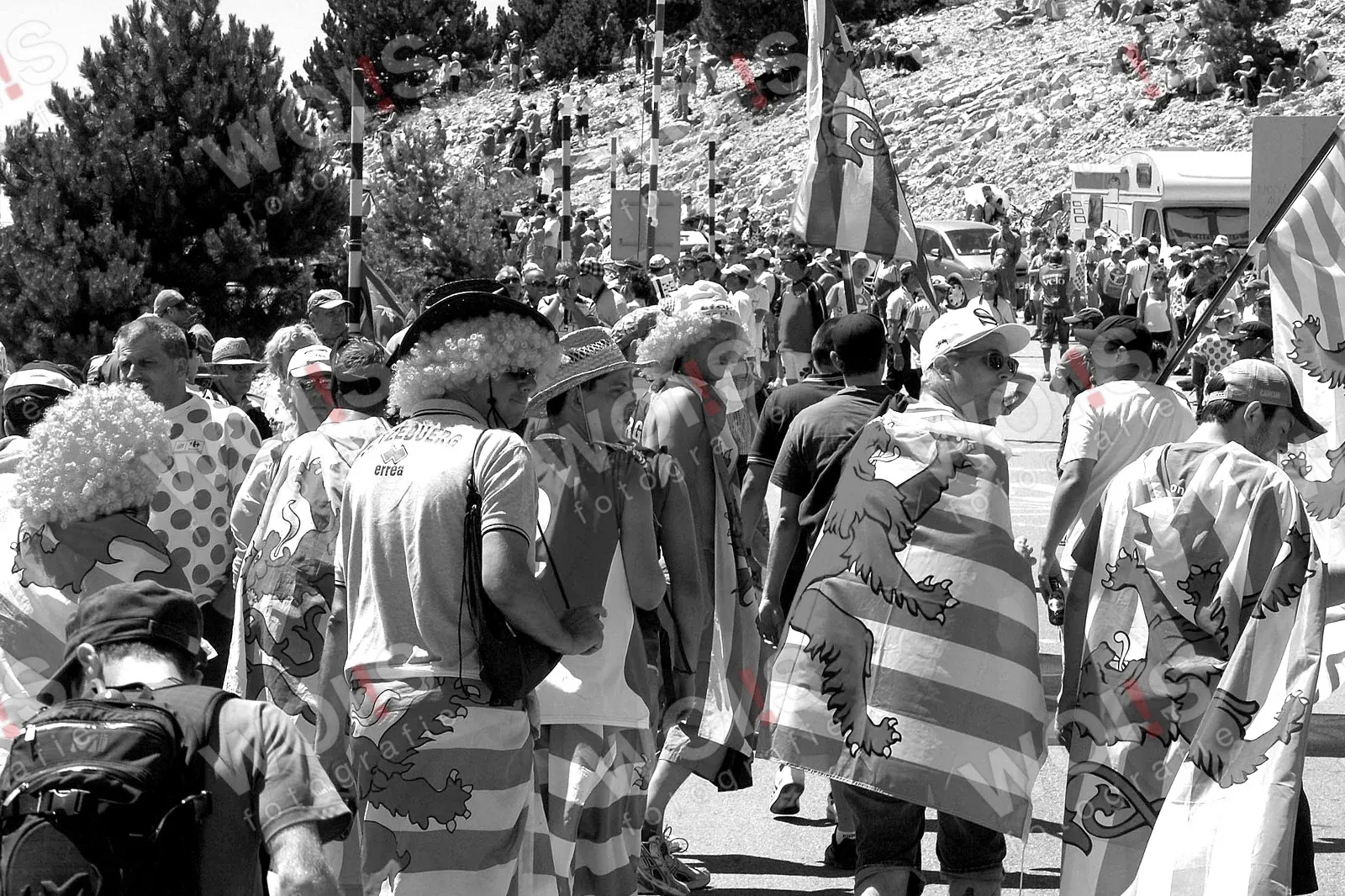 Aus der Serie Sport, Tour de France, Bild TDF-15