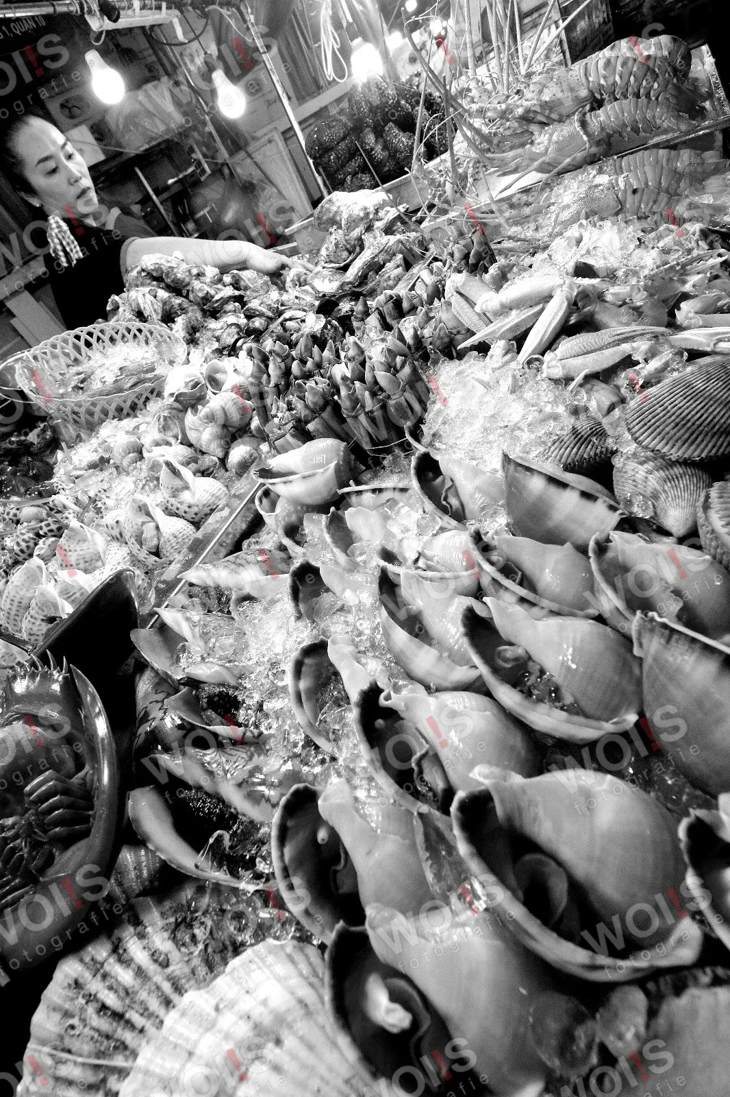 Aus der Serie Um die Welt, Vietnam, Bild VNM-04